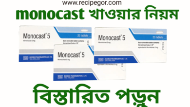 monocast-10-এর-কাজ-কি,